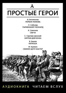Аудиокнига Простые герои (Сборник)