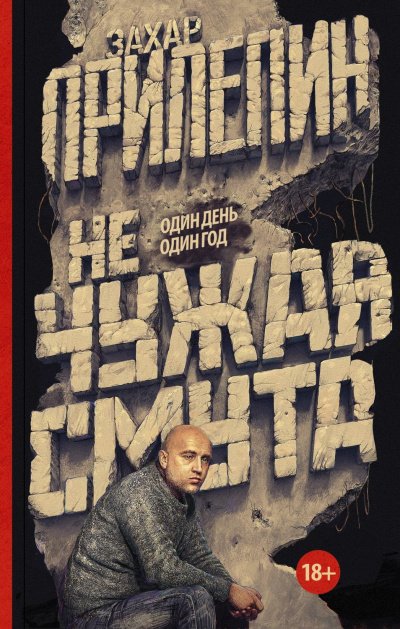 Аудиокнига Не чужая смута. Один день – один год