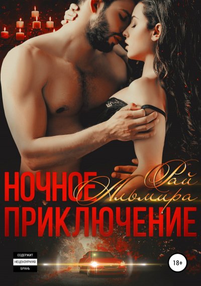 Аудиокнига Ночное приключение
