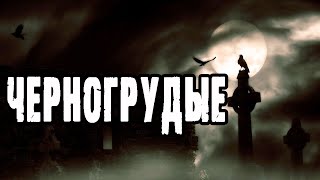 Аудиокнига Черногрудые