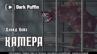 Аудиокнига Камера