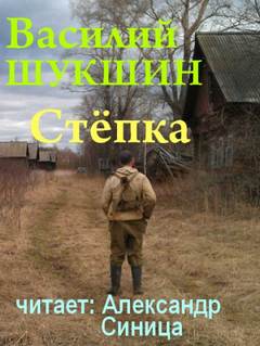 Аудиокнига Стёпка