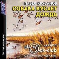 Аудиокнига Собака кусает дождь