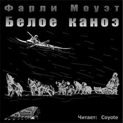 Аудиокнига Белое каноэ