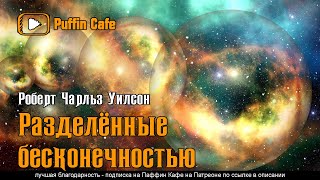 Разделенные бесконечностью - Роберт Уилсон