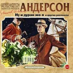 Аудиокнига Ну и дурак же я
