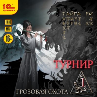 Аудиокнига Турнир. Том 1