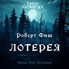 Аудиокнига Лотерея