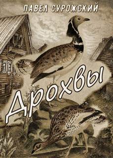 Аудиокнига Дрохвы