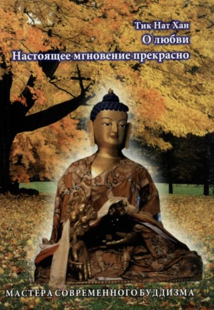 Настоящее мгновение прекрасно - Тит Нат Хан