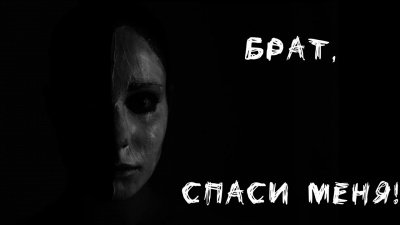 Аудиокнига Брат, защити меня!