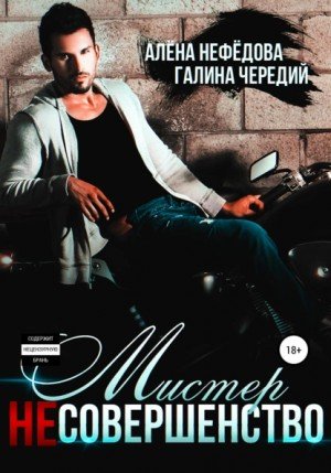 Мистер (не)совершенство - Галина Чередий, Алёна Нефёдова