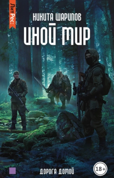 Аудиокнига Дорога домой