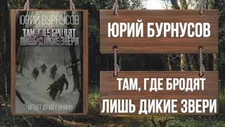 Аудиокнига Там, где бродят лишь дикие звери