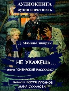 Аудиокнига Не укажешь...