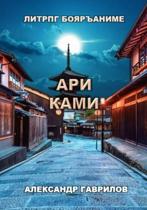 Ари Ками. Книга 1 - Александр Гаврилов