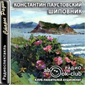 Аудиокнига Шиповник