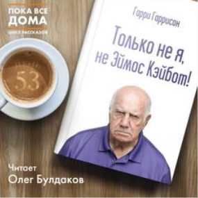 Аудиокнига Только не я, не Эймос Кэйбот