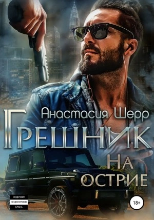 Аудиокнига Грешник. На острие