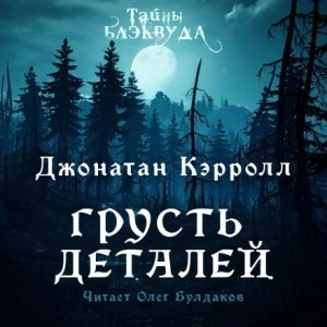 Аудиокнига Грусть деталей
