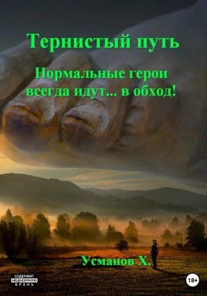 Аудиокнига Тернистый путь. Нормальные герои всегда идут… в обход!