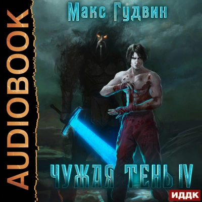 Аудиокнига Чужая тень. Книга 4
