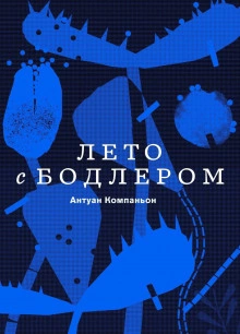 Аудиокнига Лето с Бодлером