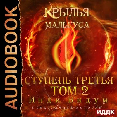 Аудиокнига Ступень третья. Том 2