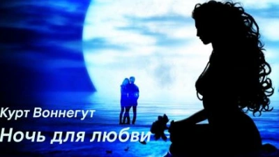 Аудиокнига Ночь для любви
