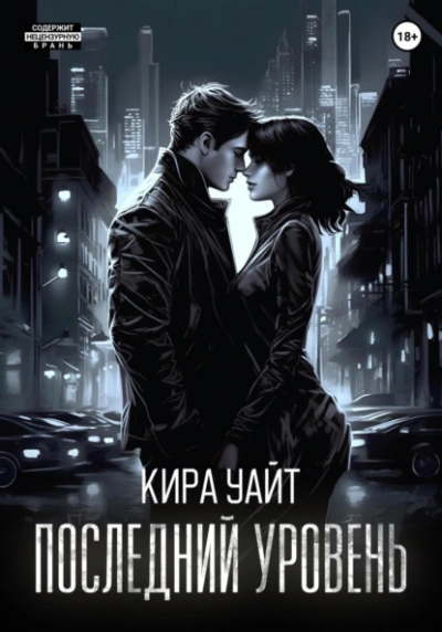 Аудиокнига Последний уровень