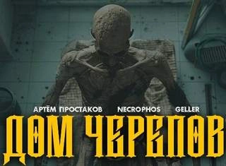 Аудиокнига Дом черепов