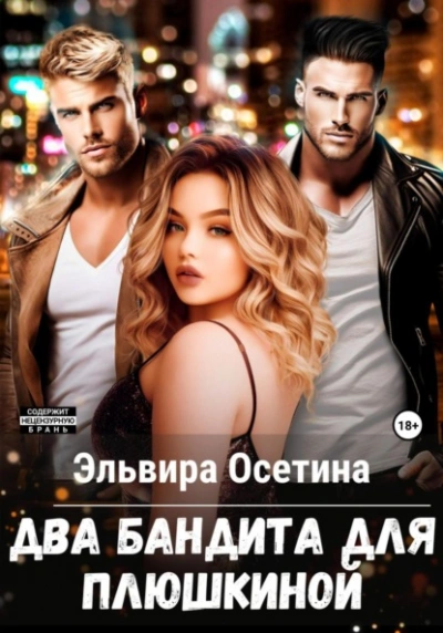 Аудиокнига Два бандита для Плюшкиной
