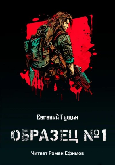 Аудиокнига Образец №1