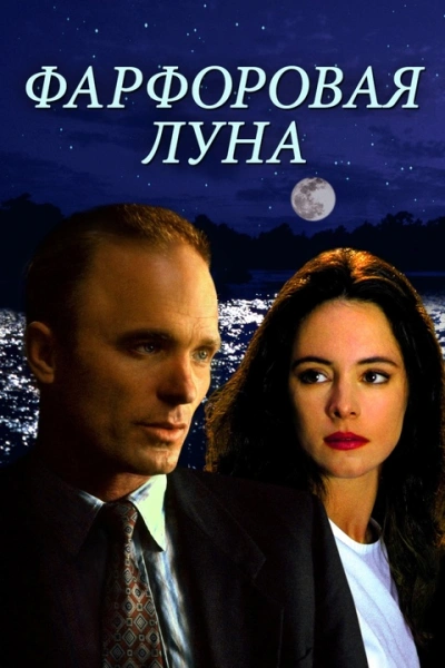 Аудиокнига Фарфоровая луна