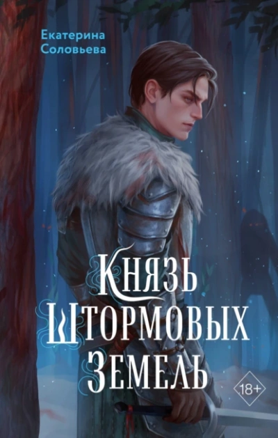 Аудиокнига Князь Штормовых Земель