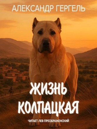 Аудиокнига Жизнь колпацкая