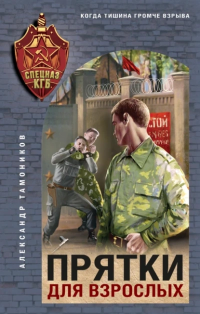 Прятки для взрослых - Александр Тамоников