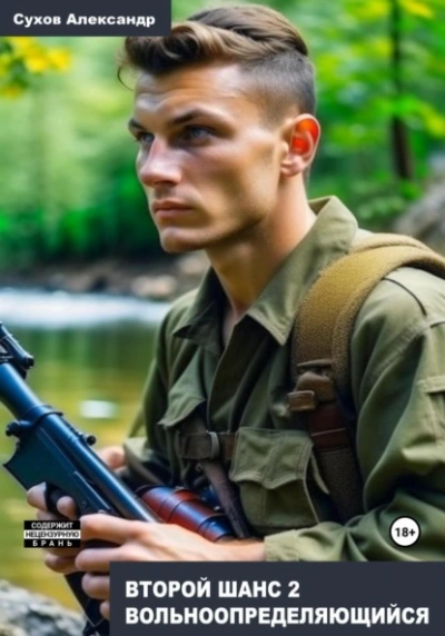 Аудиокнига Вольноопределяющийся
