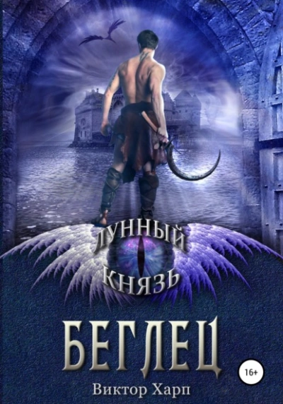 Аудиокнига Беглец