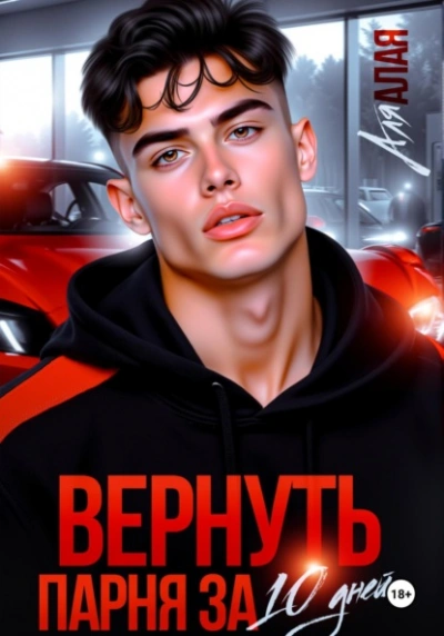 Аудиокнига Вернуть парня за 10 дней