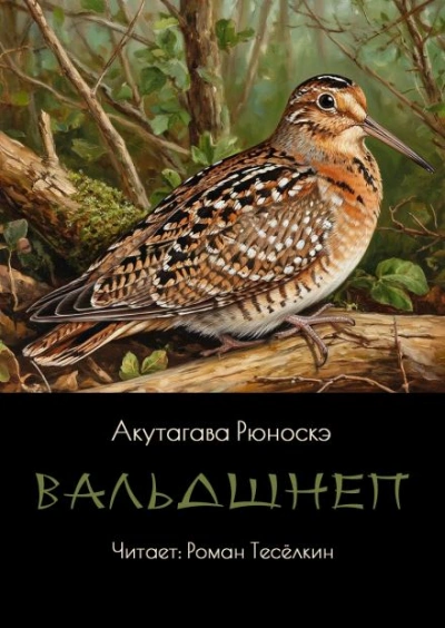 Аудиокнига Вальдшнеп