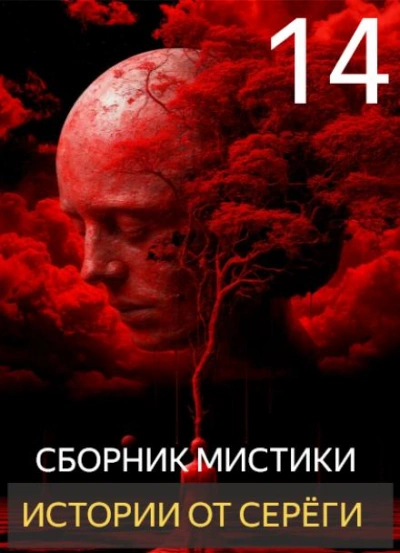 Аудиокнига Истории от Серёги 14