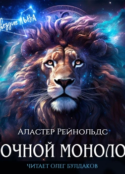 Аудиокнига Ночной монолог