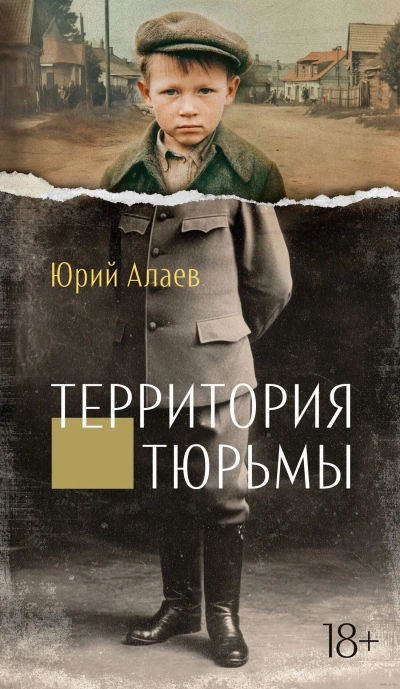 Аудиокнига Территория тюрьмы