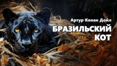 Аудиокнига Бразильский кот