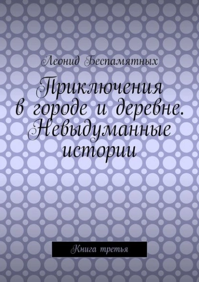 Аудиокнига Приключения в городе и деревне. Невыдуманные истории
