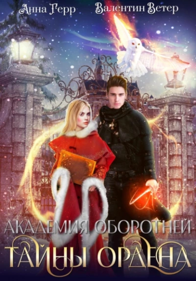 Аудиокнига Тайны ордена