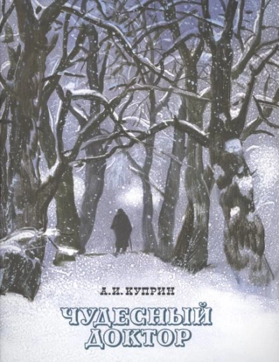 Аудиокнига Чудесный доктор