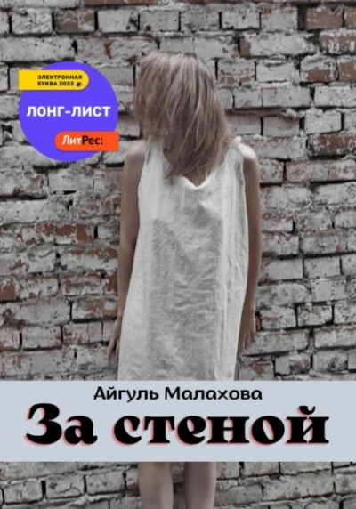 Аудиокнига За стеной