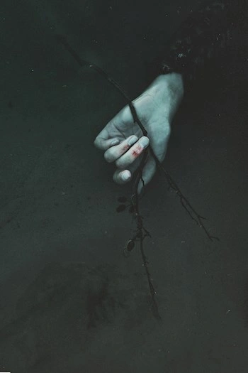 Аудиокнига Пустоцвет (Сборник)